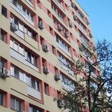 Obor, Colentina, Teiul Doamnei, langa sectia 7 politie